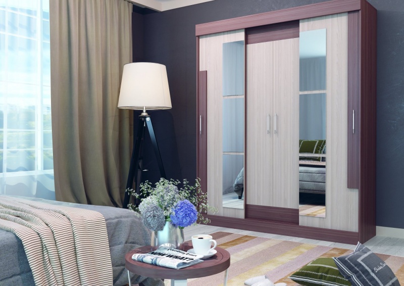 Шкаф-купе Феникс (Интерьер Центр)